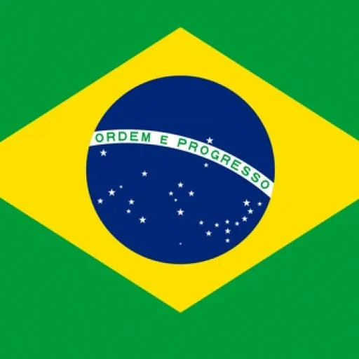 W Flag_of_Brazil
