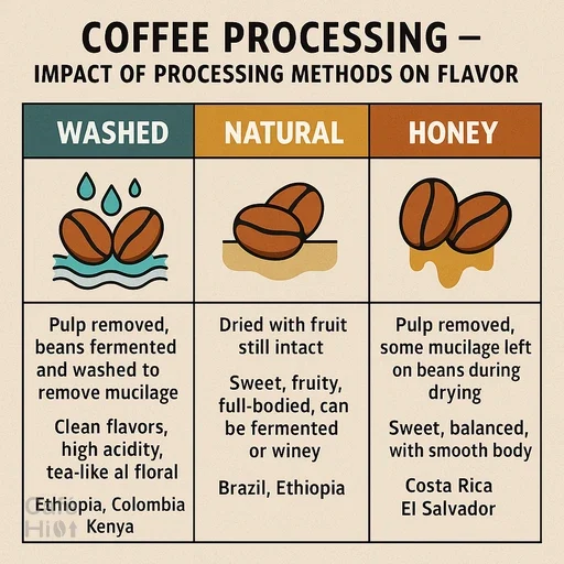 bl-cafee processing